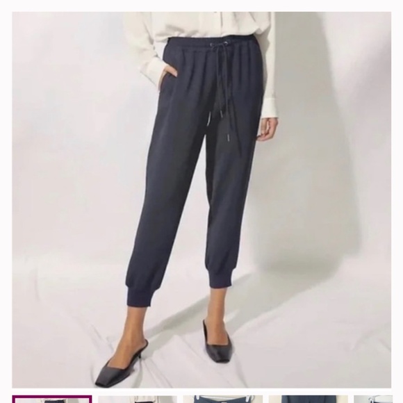 Buffon draw string Aritzia pant - Picture 4 of 5